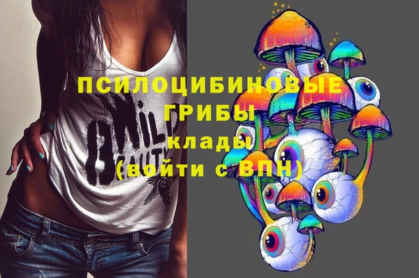 дурь Наволоки